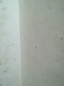 Cute_Kavya7 live cam, Thin, Brown, Black - EroticFlix